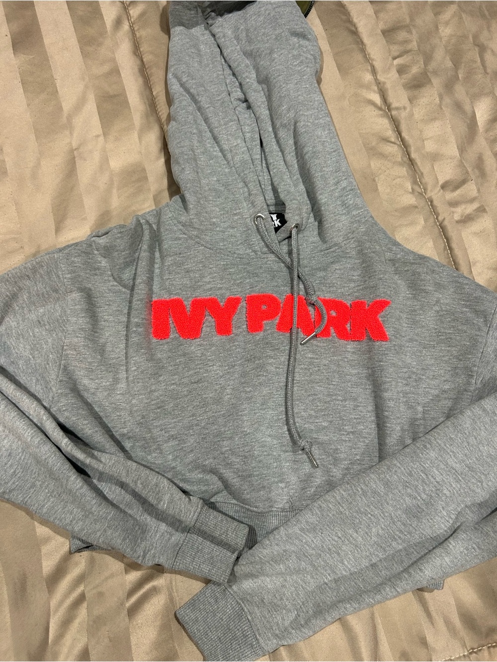 Ivy Park Gray cropped Hoodie with hot pink Logo - Women's Sweater